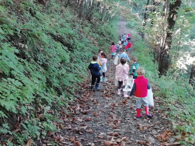 I bambini dell'Asilo Valli passeggiano nel bosco.