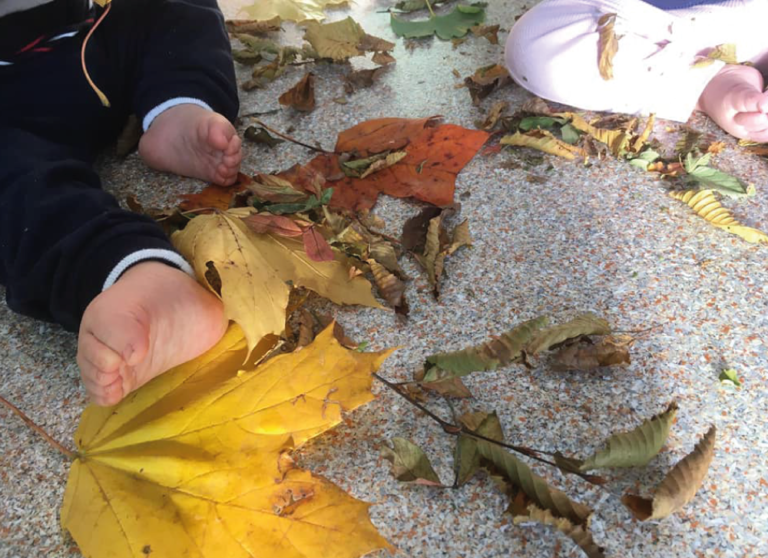 Piedini nudi dei bambini del Nido integrato, tra le foglie d'autunno.