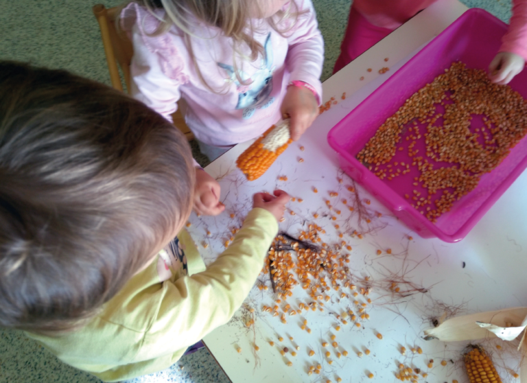Bambini dell'Asilo Valli sgranano pannocchie di mais.
